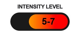 Intensity Level
