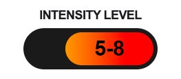 JP650 Intensity Level