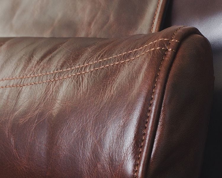 Svago Newton Premium Leather Recliner