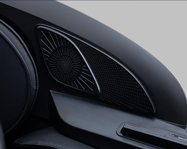 Ogawa XL Duo Voice Control